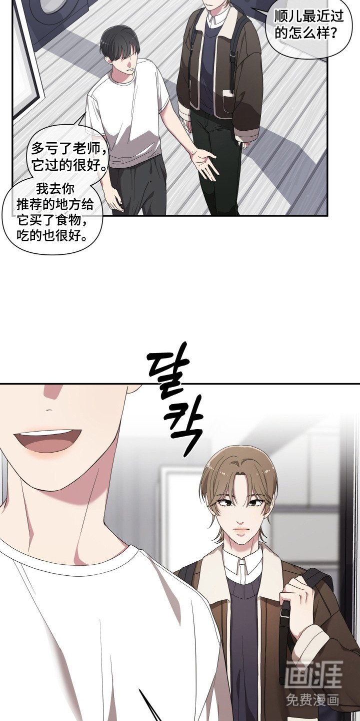 第2章：宠物管理