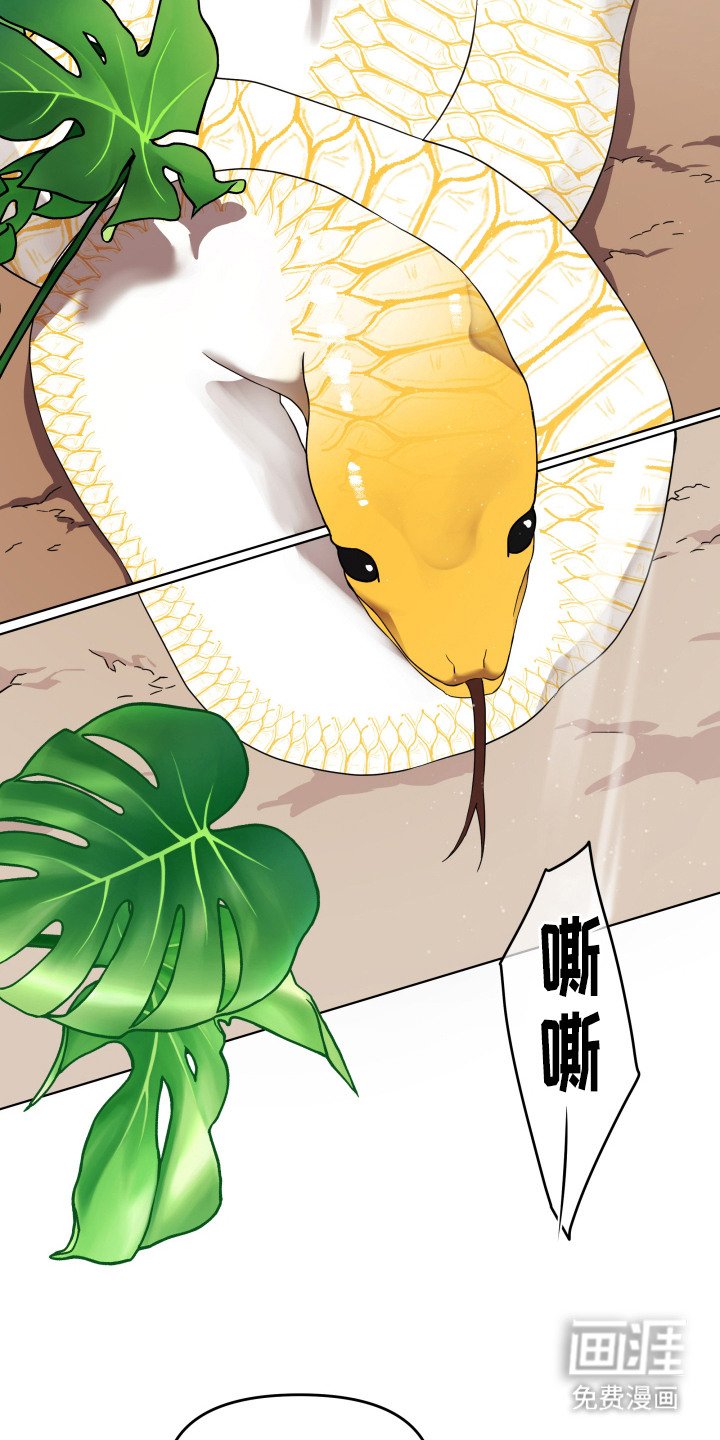 第2章：宠物管理