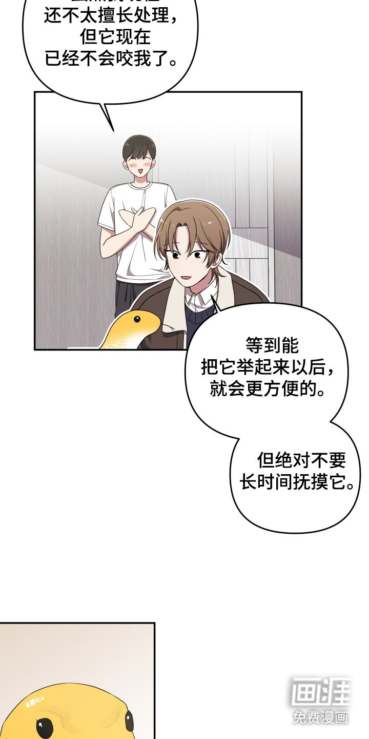 第2章：宠物管理