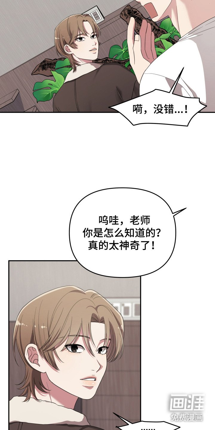 第2章：宠物管理