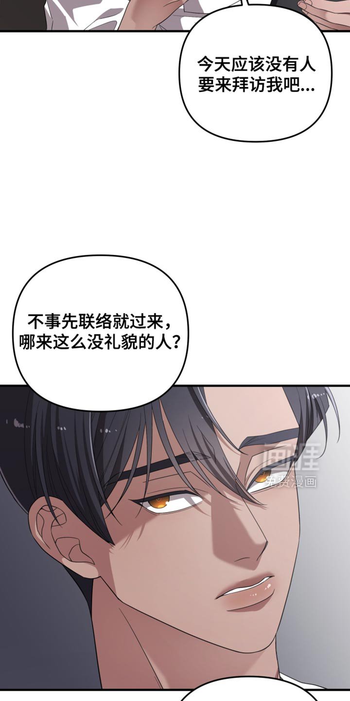 第26章：理想型