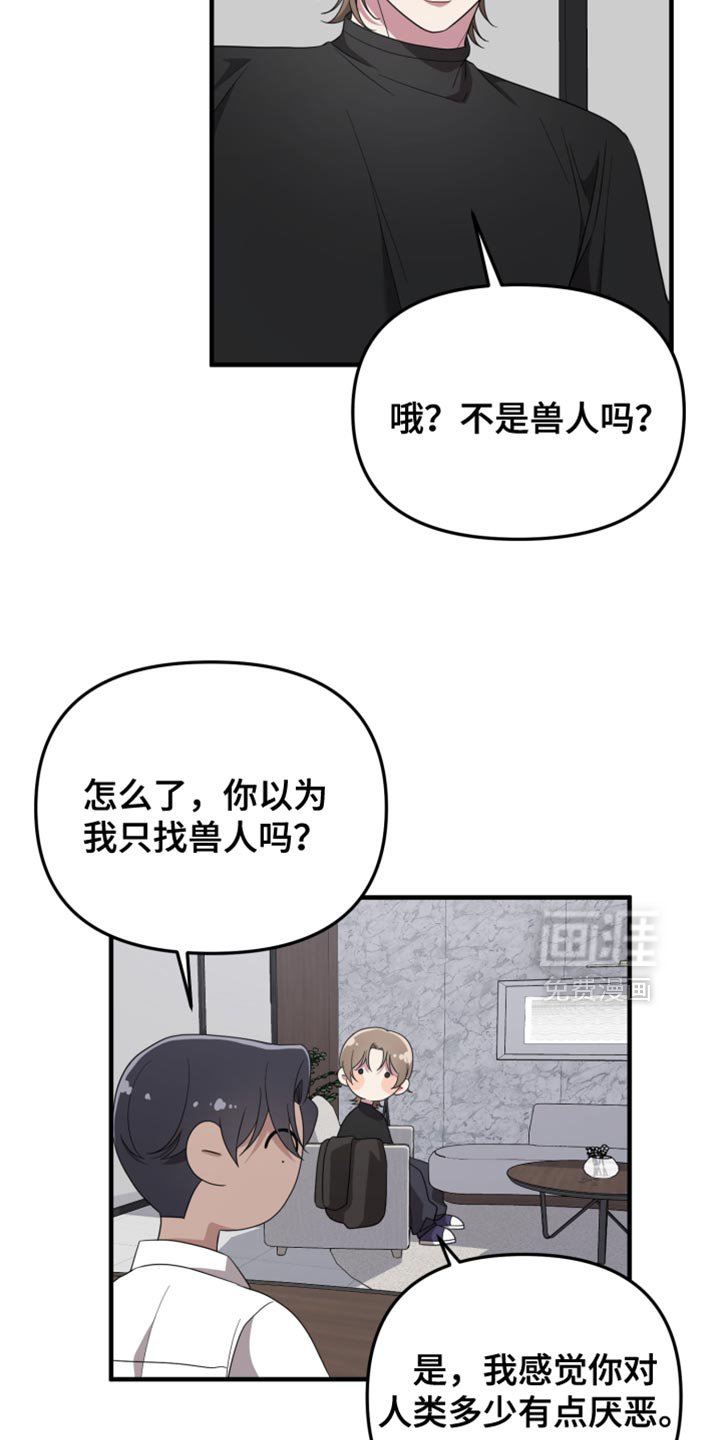 第26章：理想型