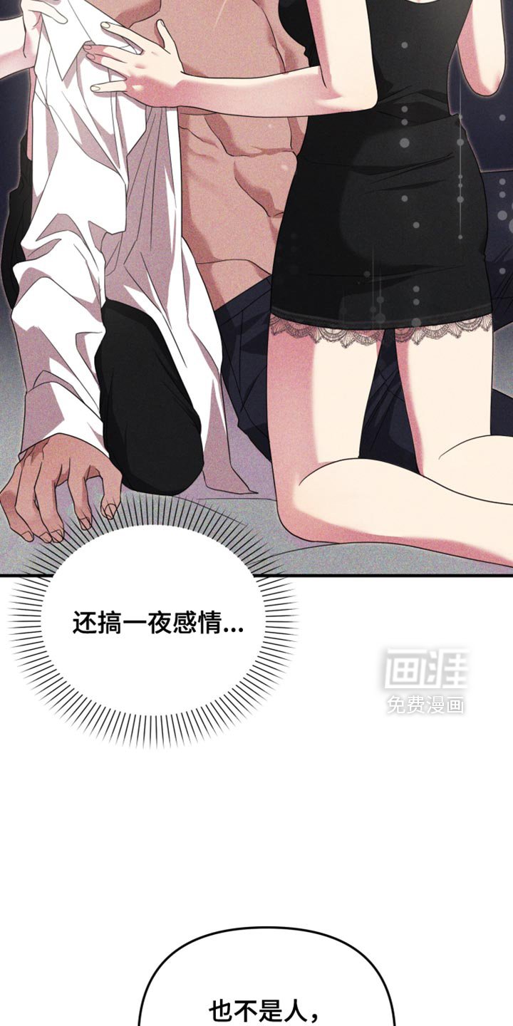 第26章：理想型