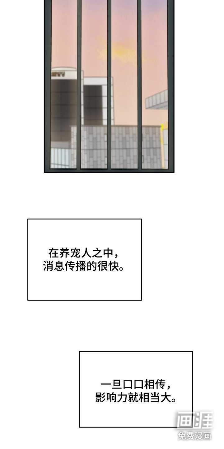 第3章：狼崽