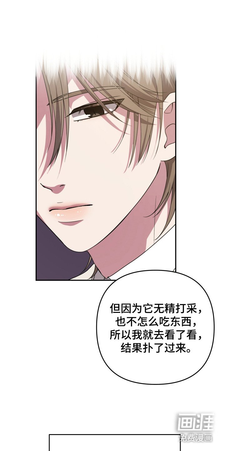 第3章：狼崽