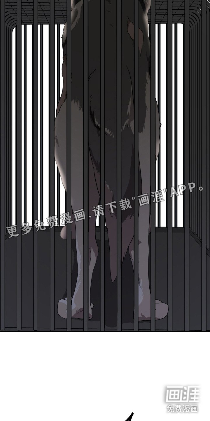 第3章：狼崽