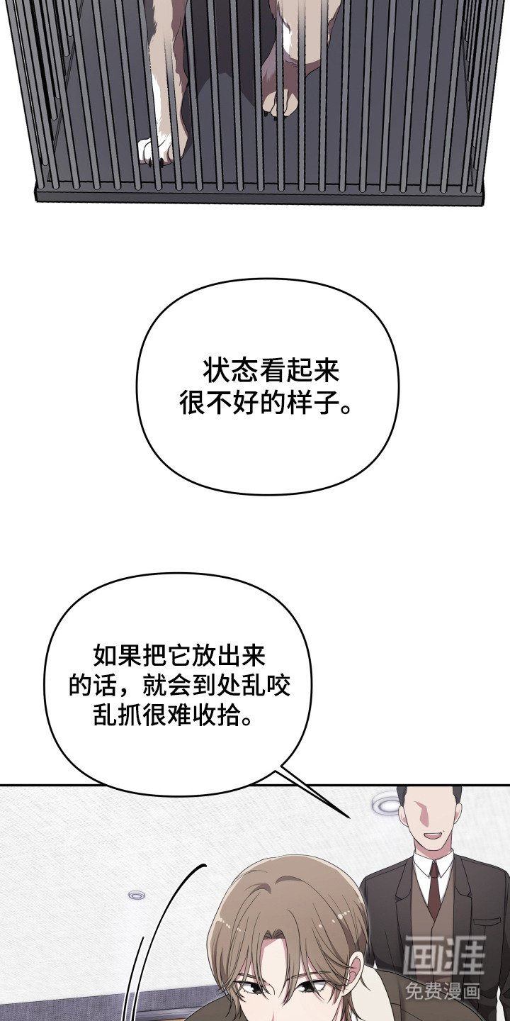 第3章：狼崽
