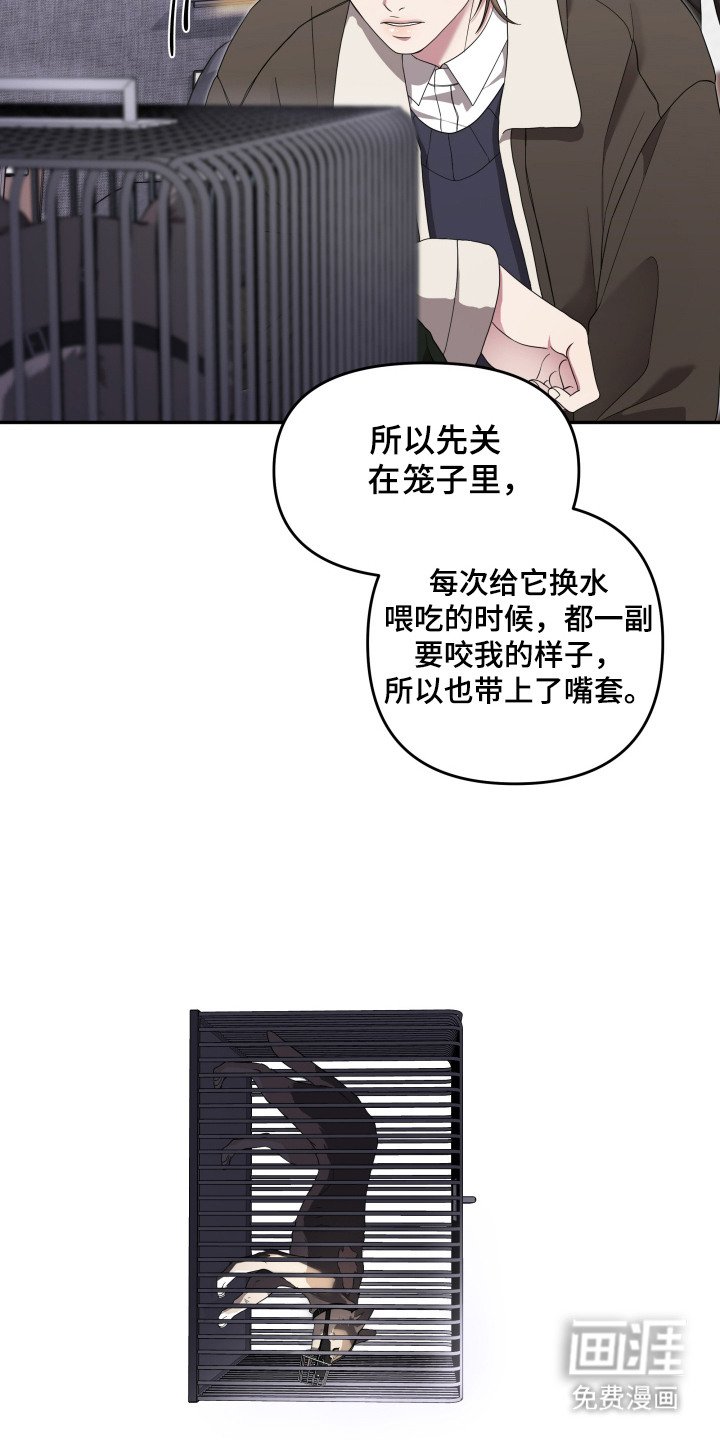 第3章：狼崽