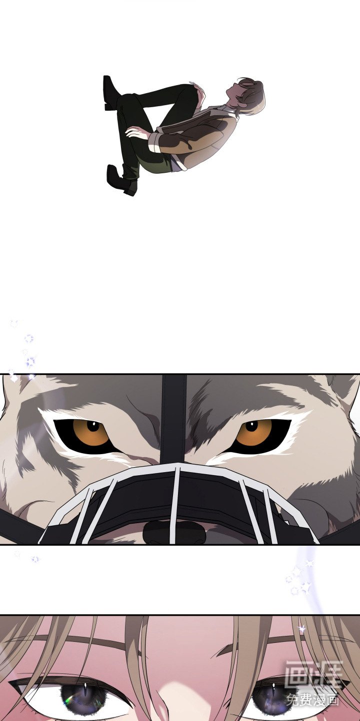 第3章：狼崽