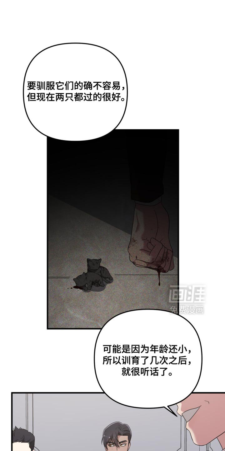第33章：挑战