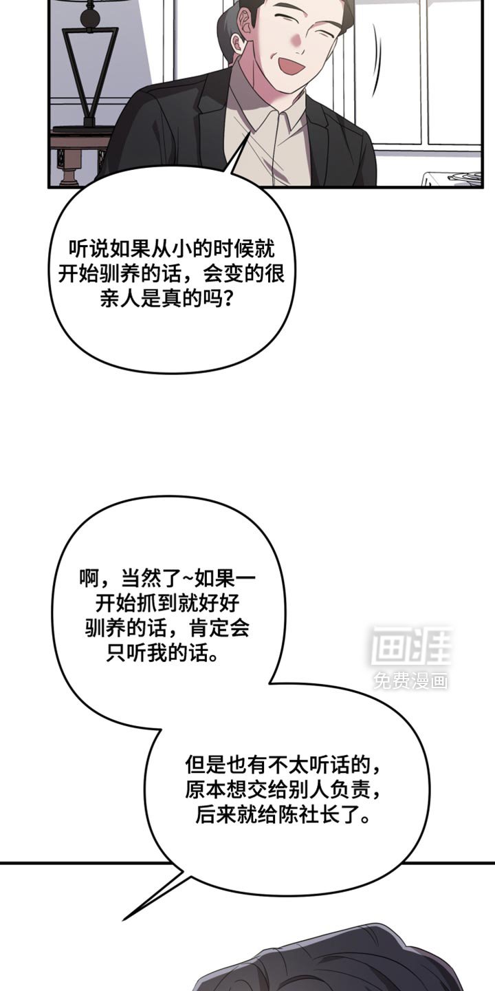 第33章：挑战