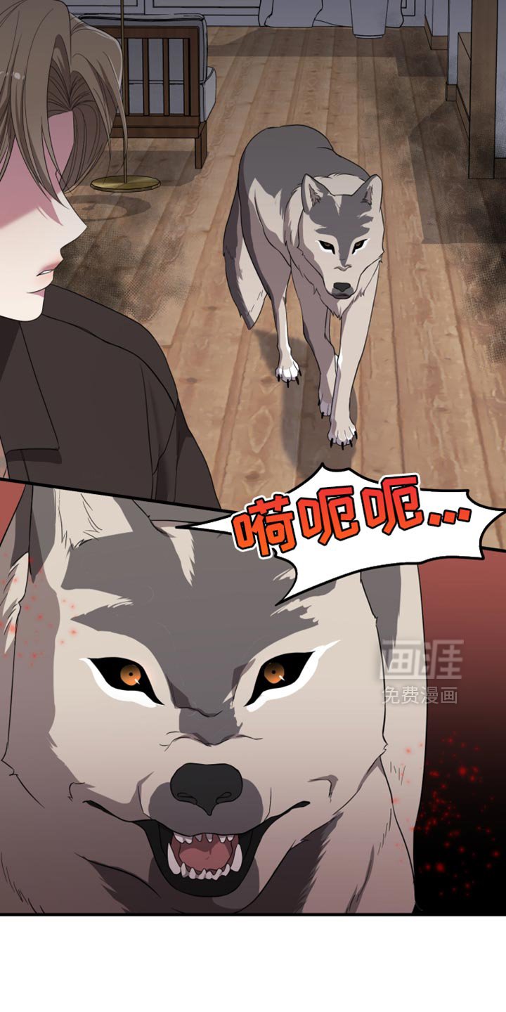 第37章：被揭穿了