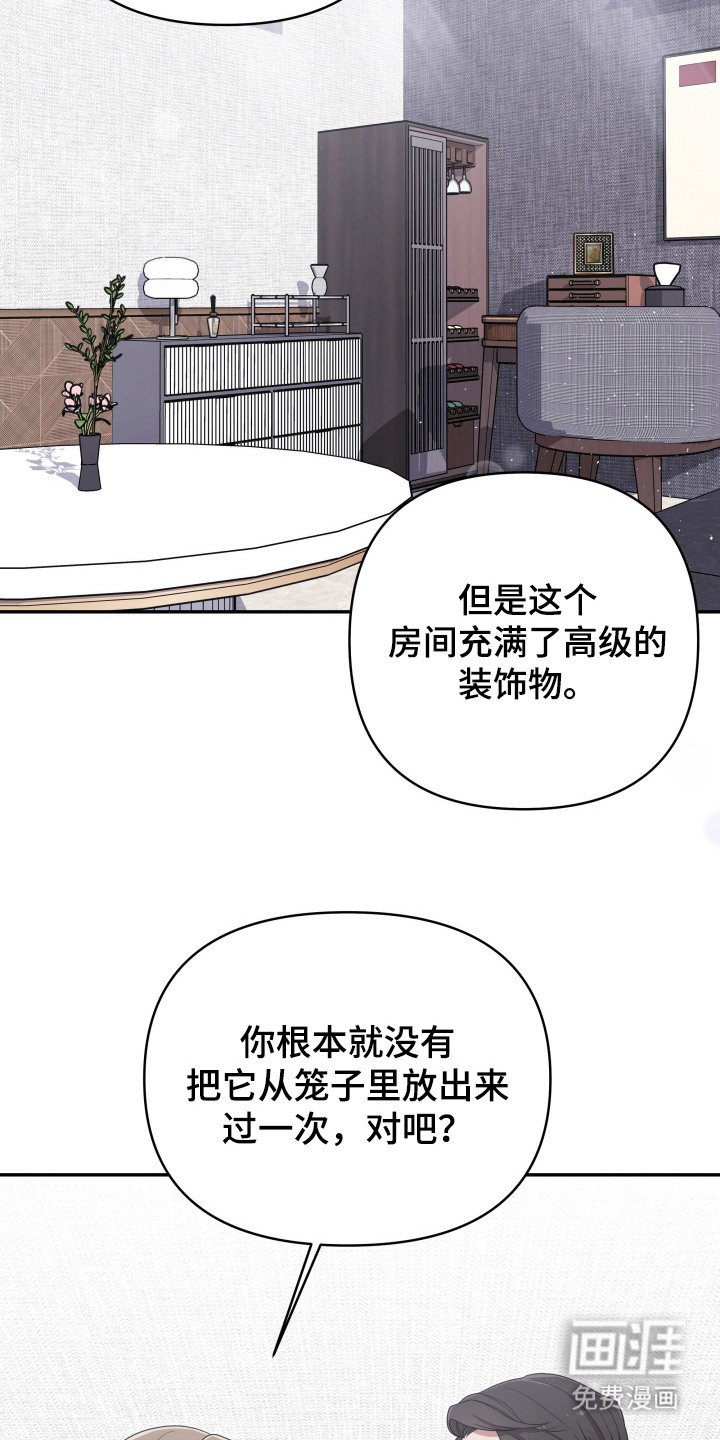 第4章：老熟人