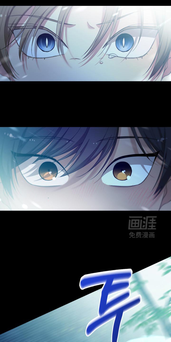 第41章：如果不是梦就好了