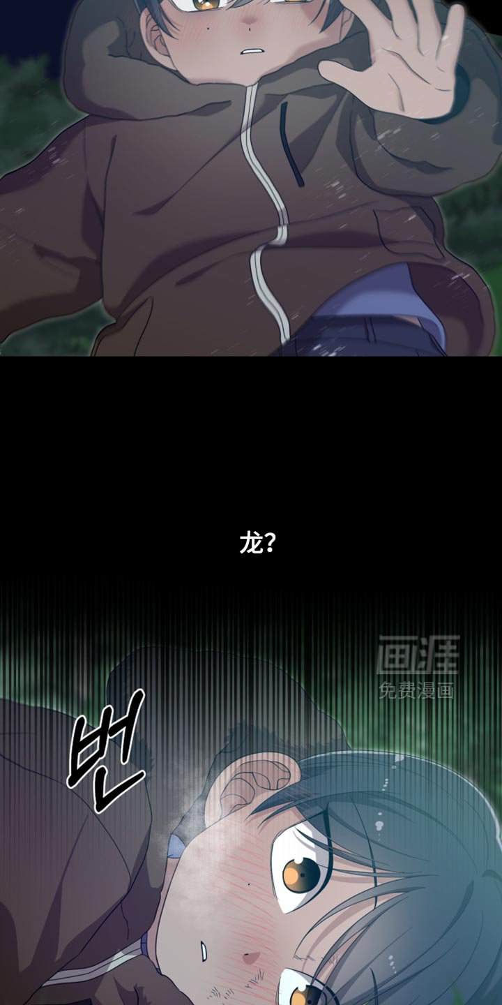 第41章：如果不是梦就好了