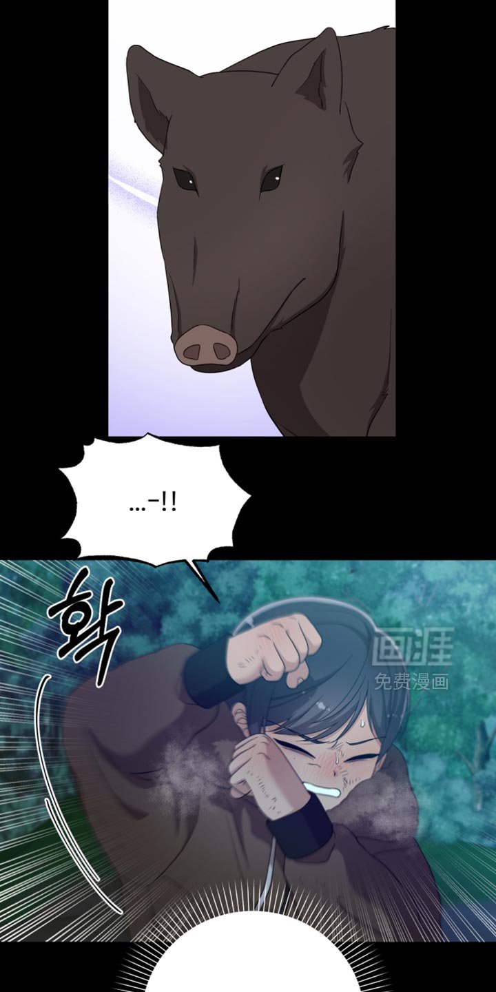 第41章：如果不是梦就好了