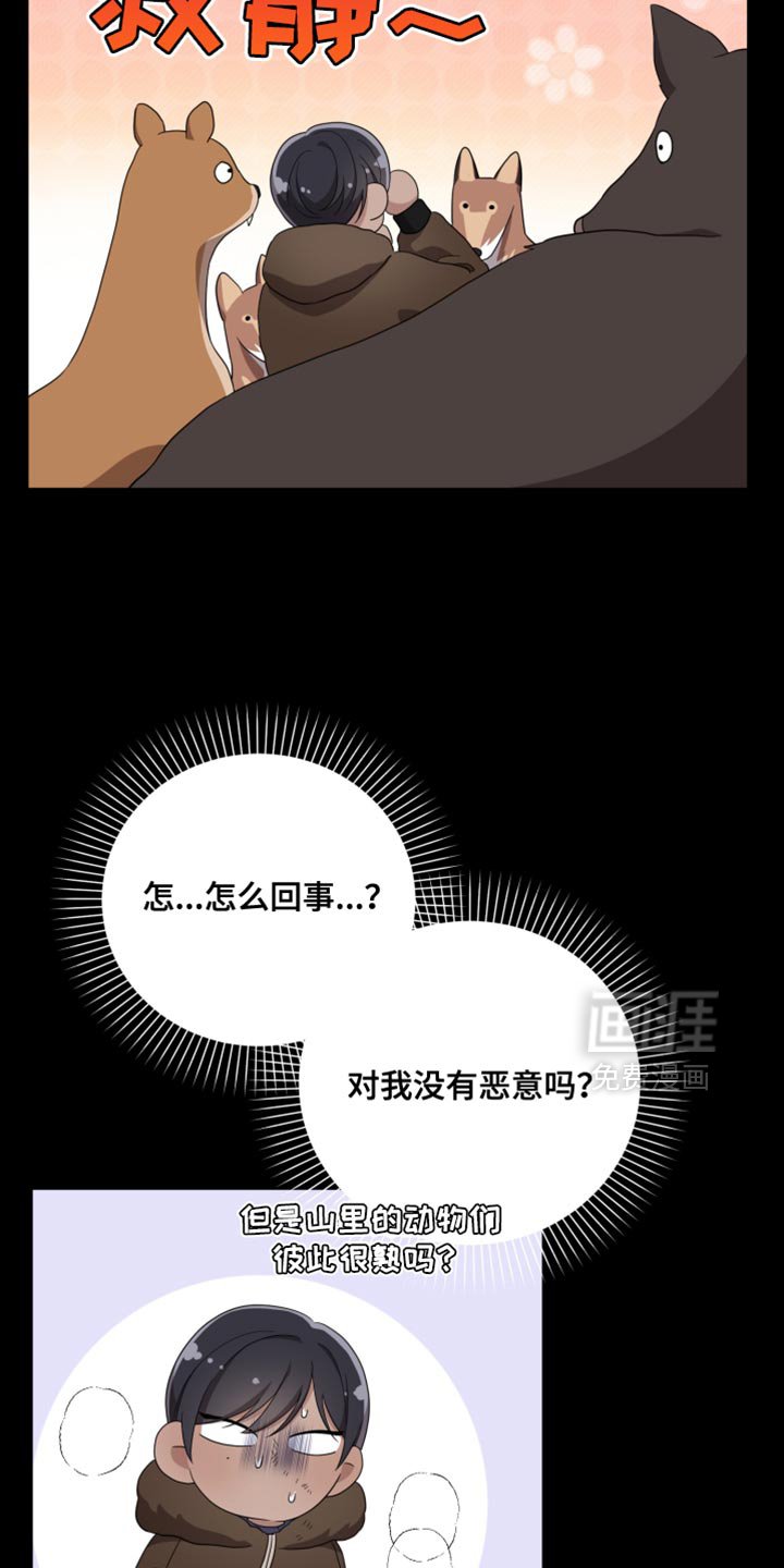 第41章：如果不是梦就好了