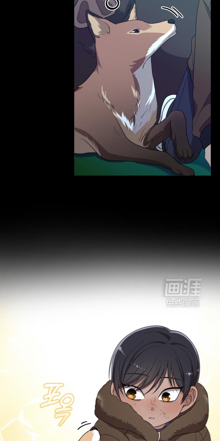 第41章：如果不是梦就好了