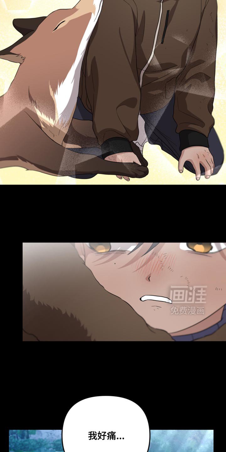 第41章：如果不是梦就好了
