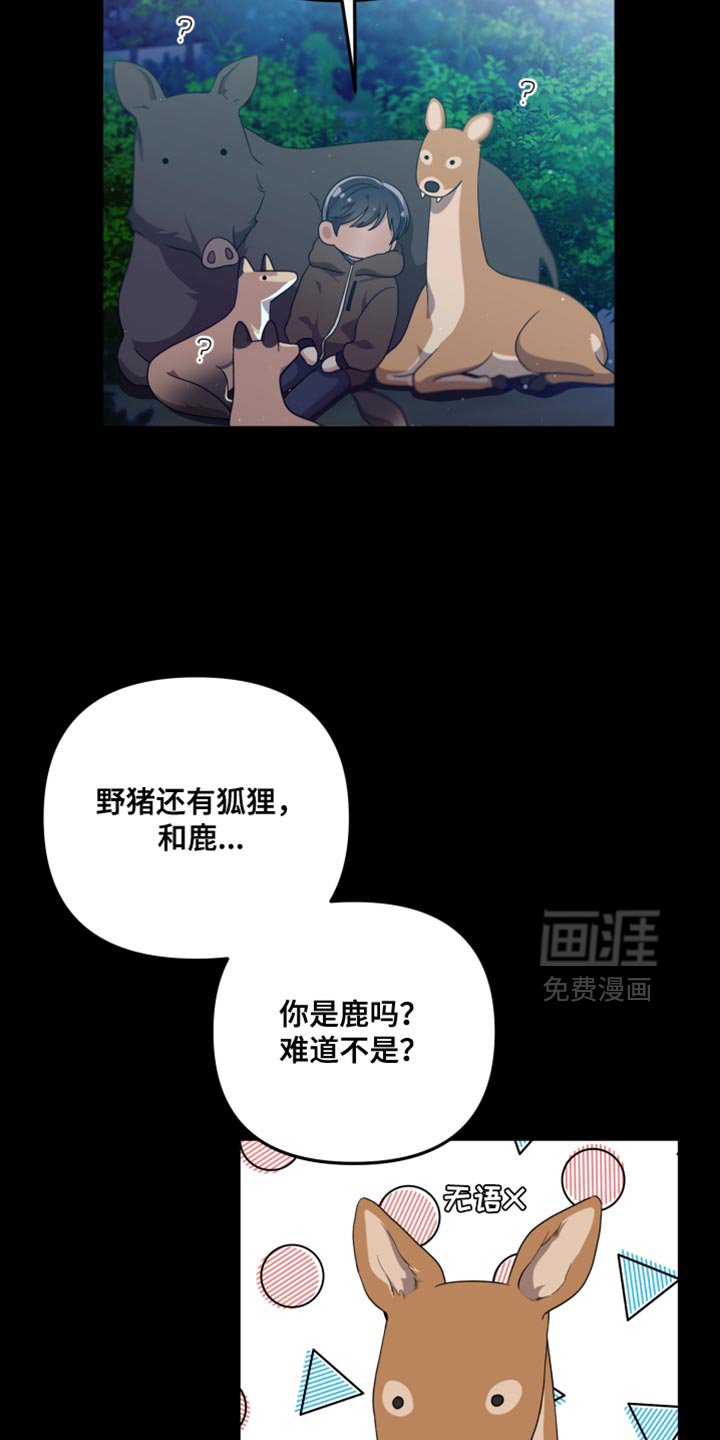 第41章：如果不是梦就好了