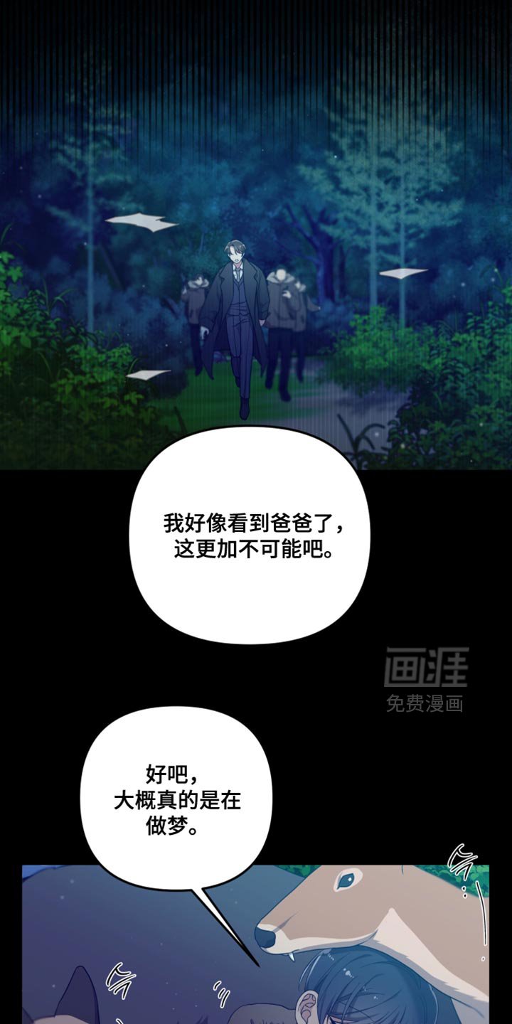 第41章：如果不是梦就好了