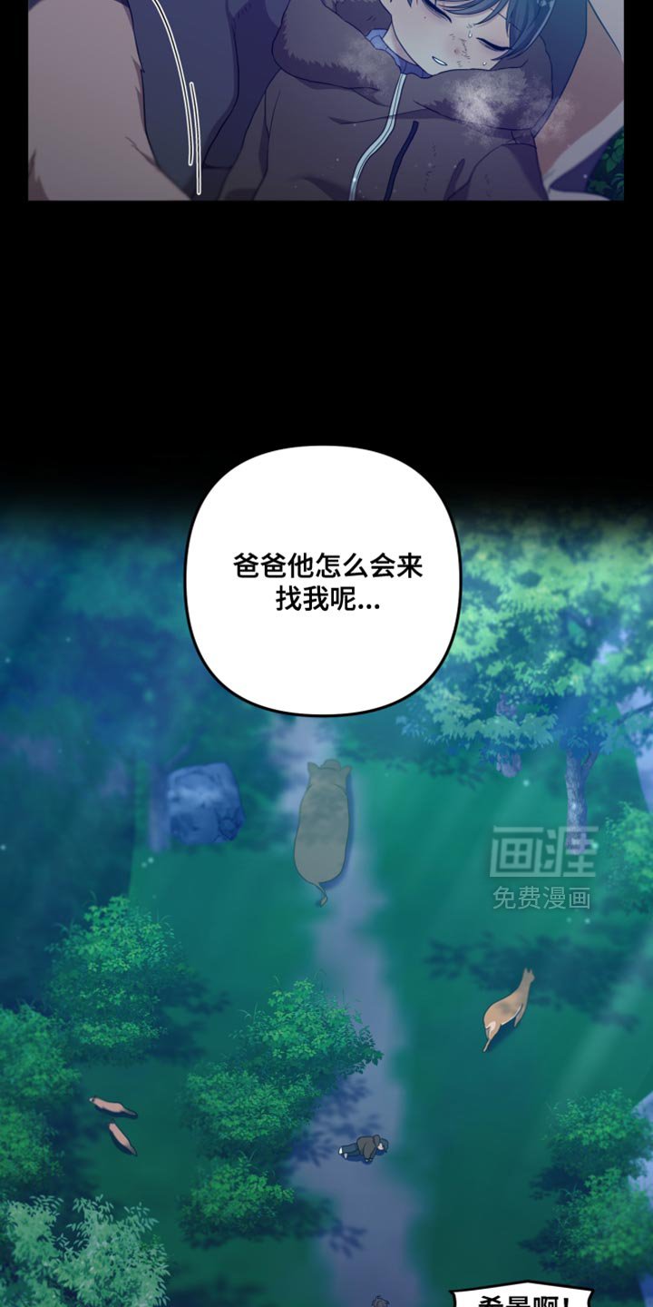 第41章：如果不是梦就好了