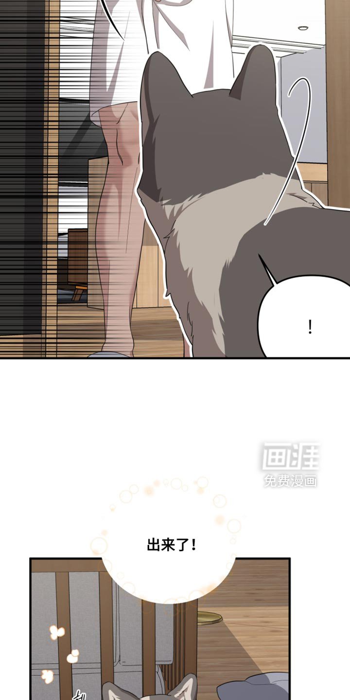 第44章：快睡吧