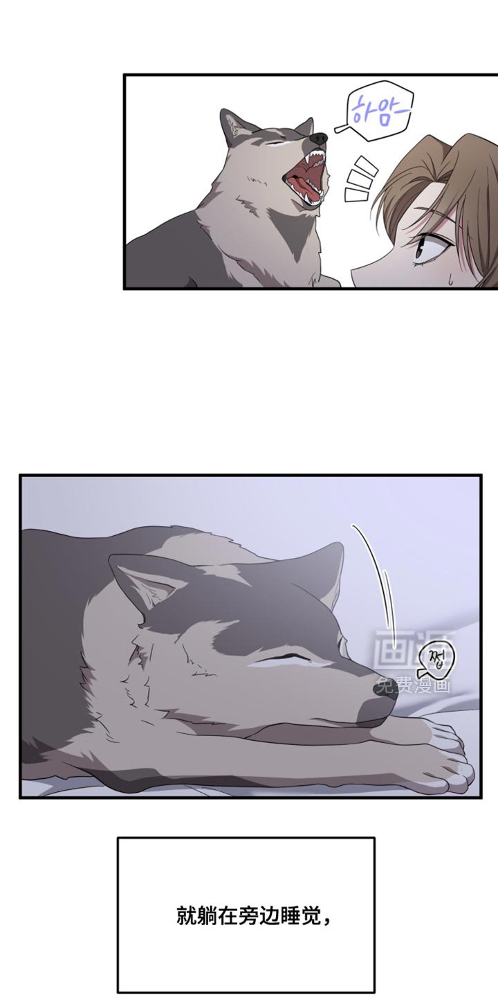 第45章：什么样的心情呢