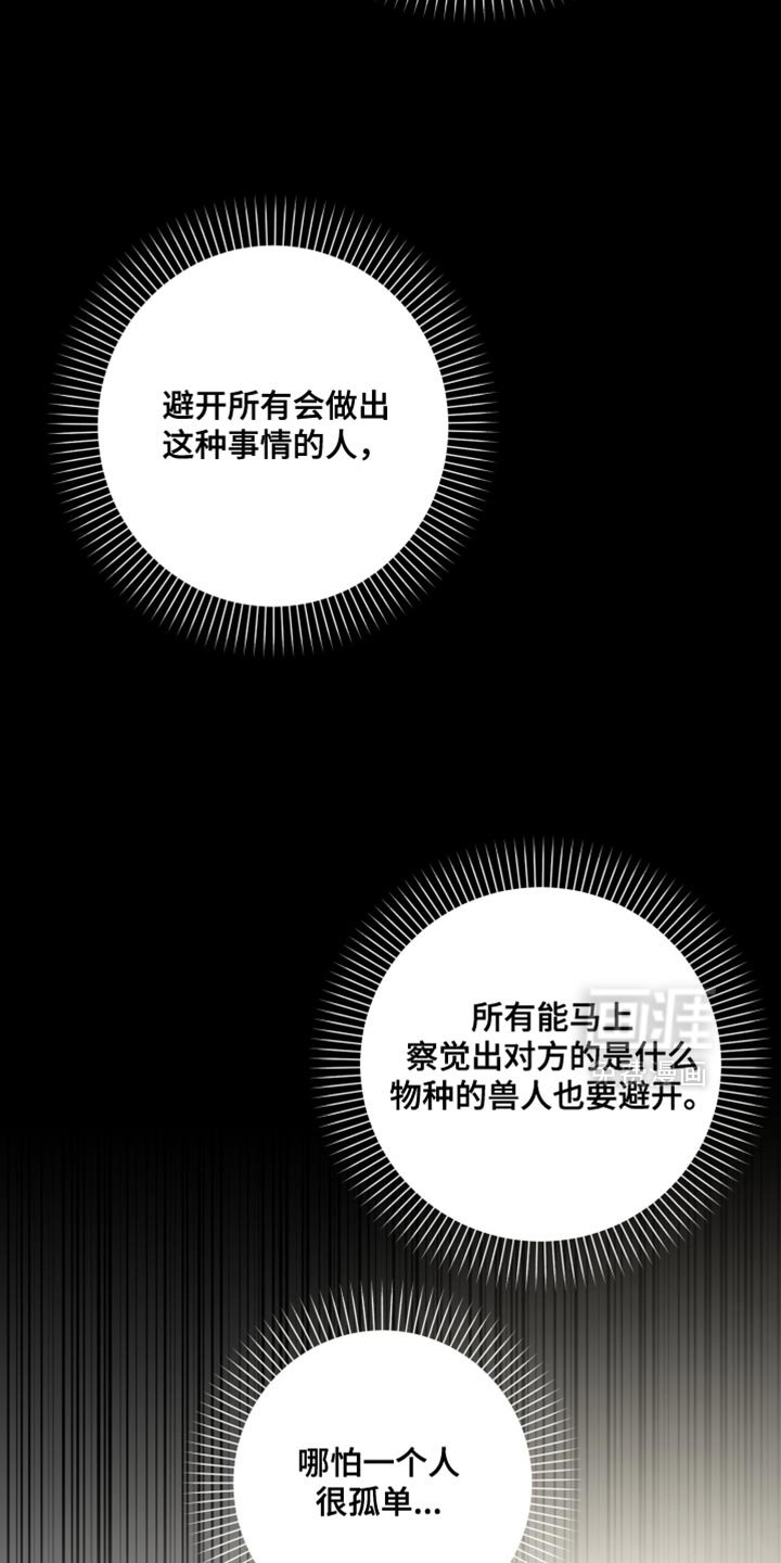 第49章：好奇的事情