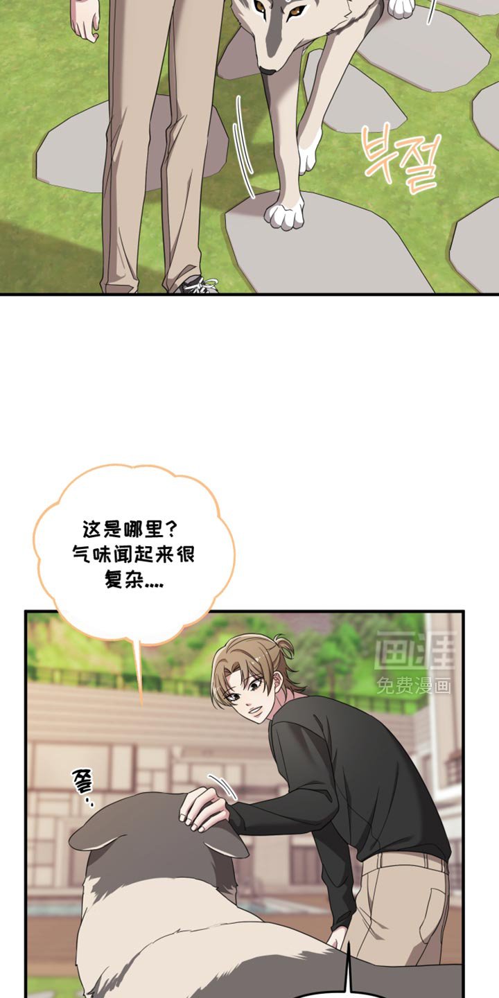 第50章：一无所知