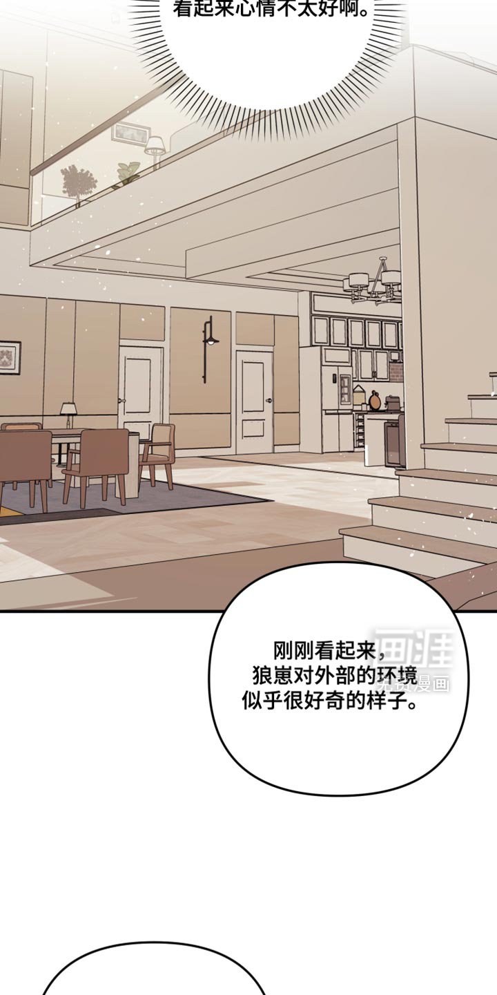 第51章：眼里只能有我