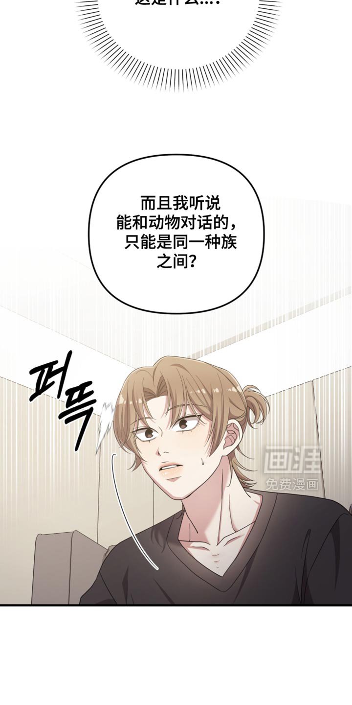 第52章：心情糟糕透了