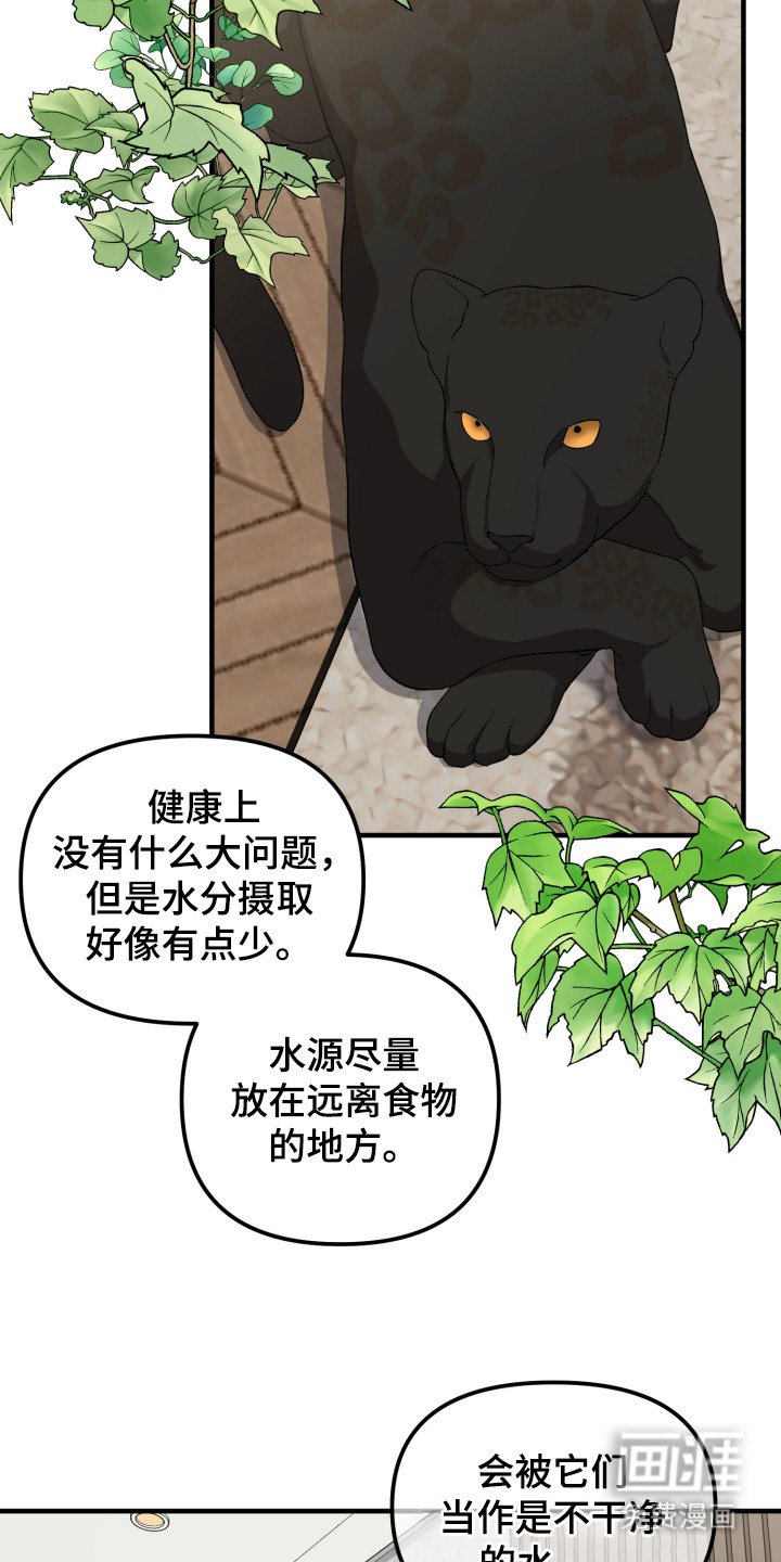 第6章：能力出色