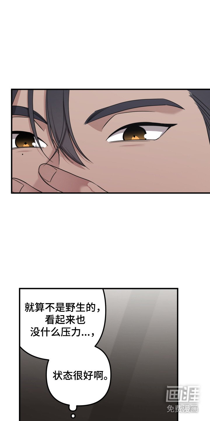 第6章：能力出色