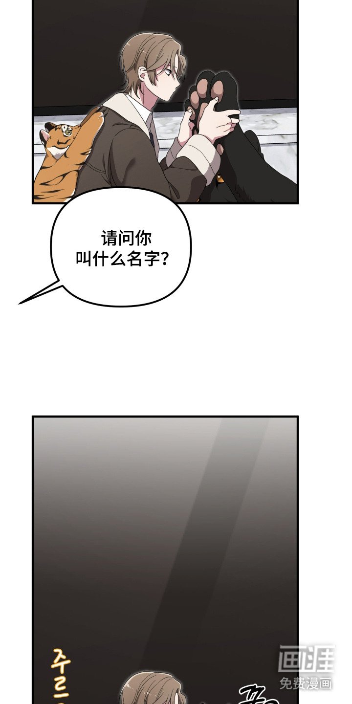 第6章：能力出色