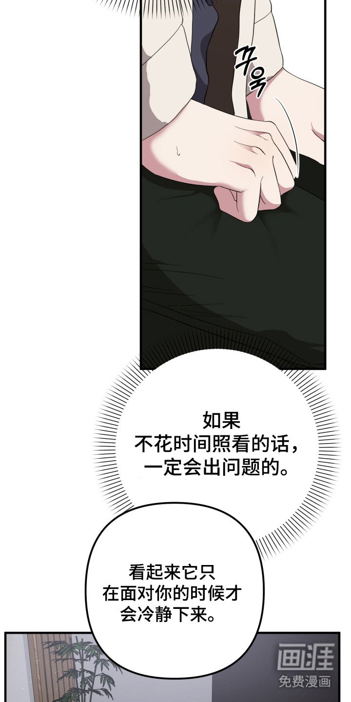 第7章：兽人