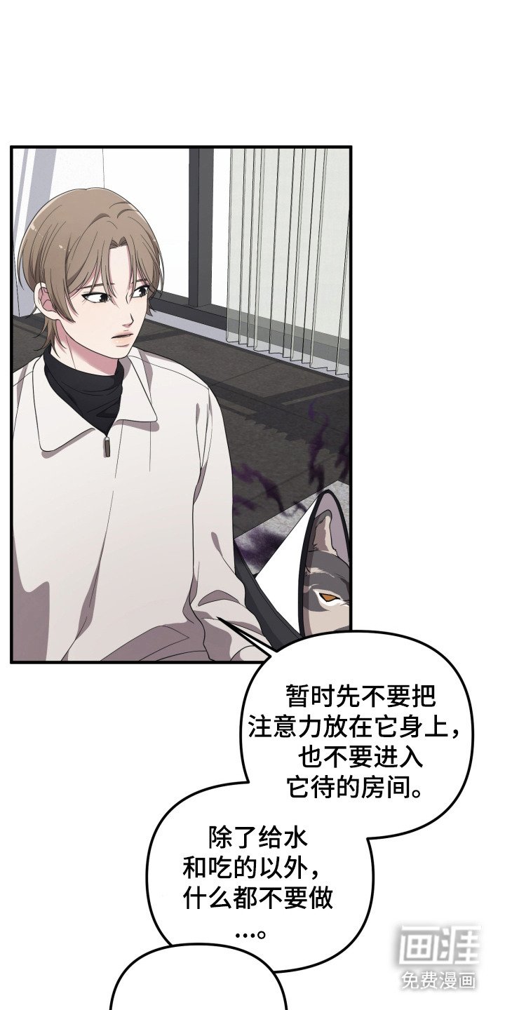 第9章：高额报酬