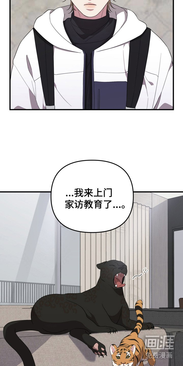 第9章：高额报酬