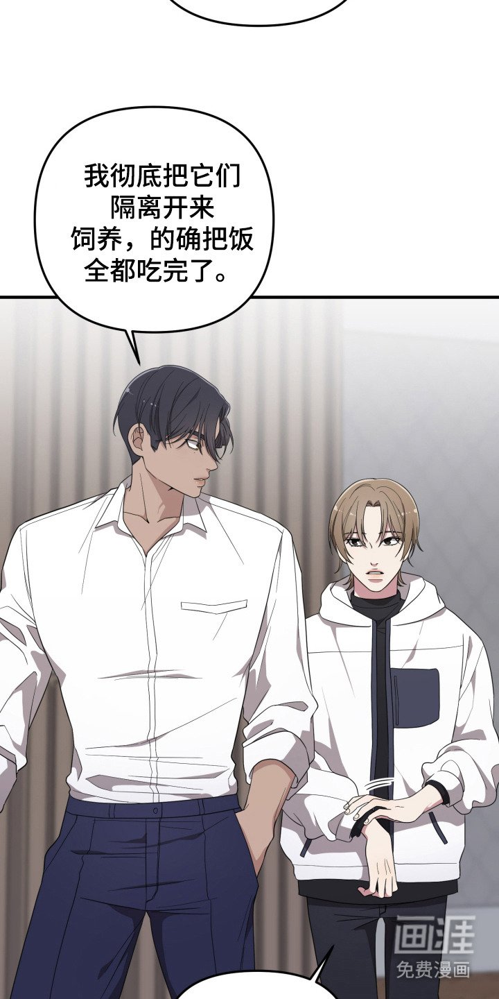第9章：高额报酬