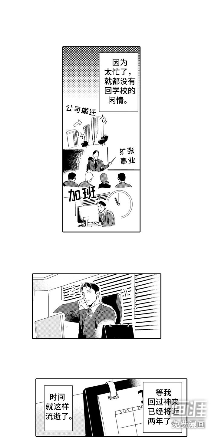 第12章：直白