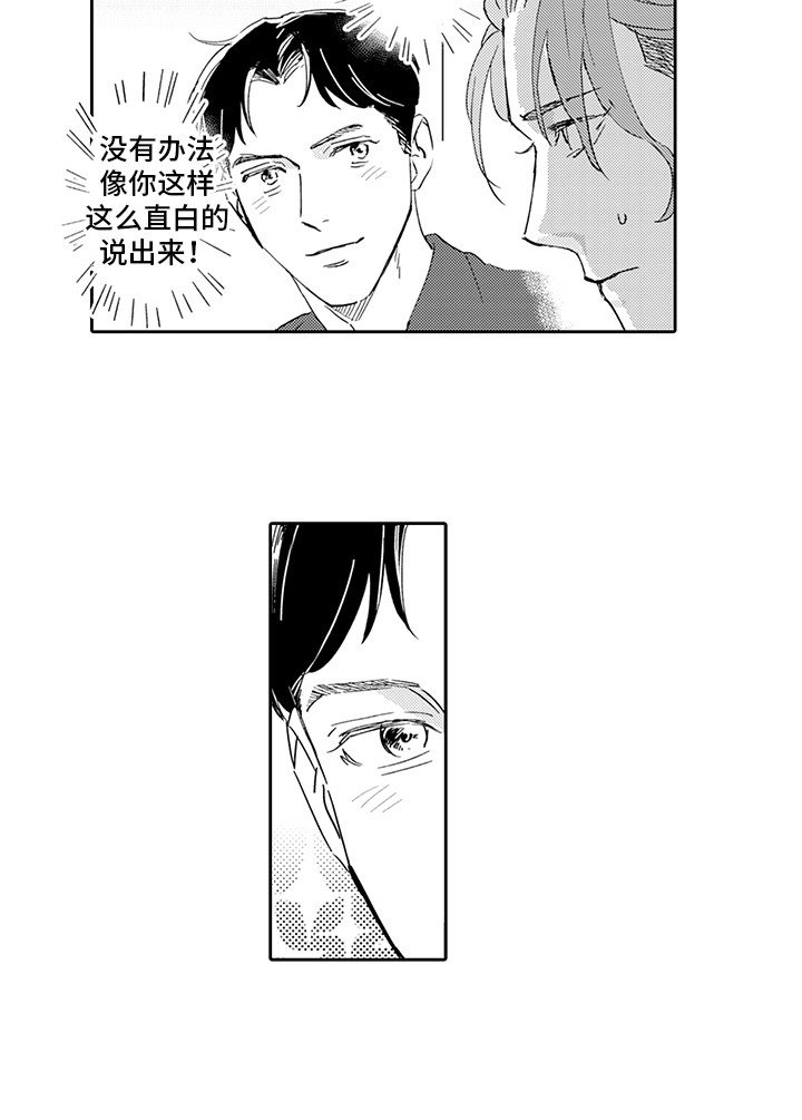 第12章：直白