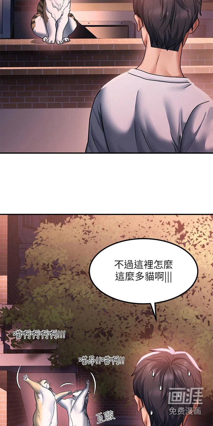 第28章：准备