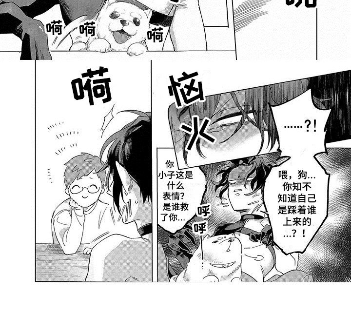 第10章：想要了解