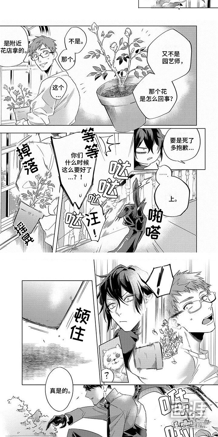 第13章：恶魔同伴