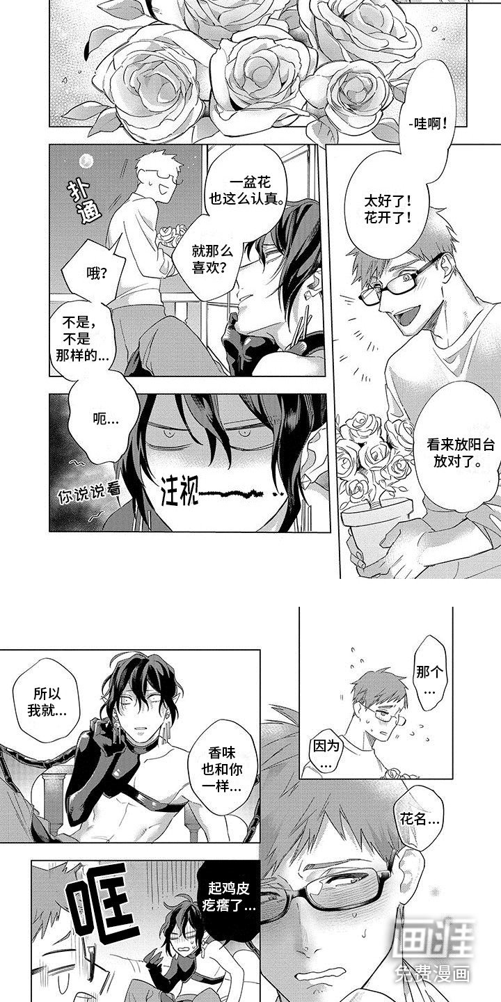 第15章：开花了