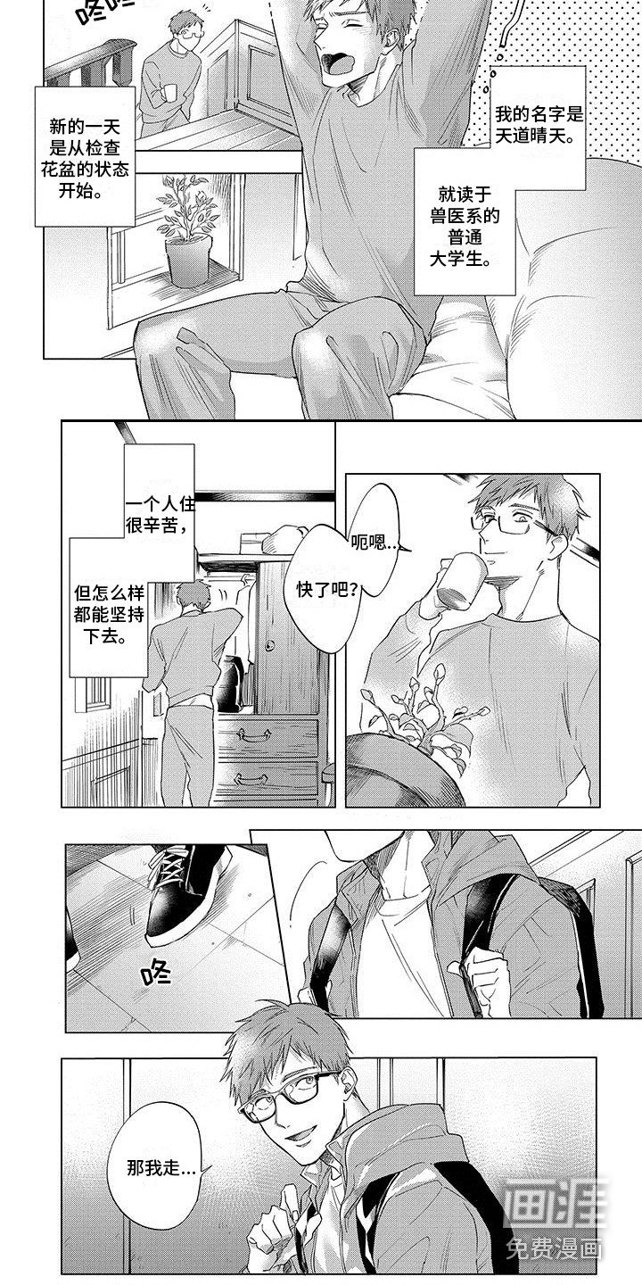 第17章：契约