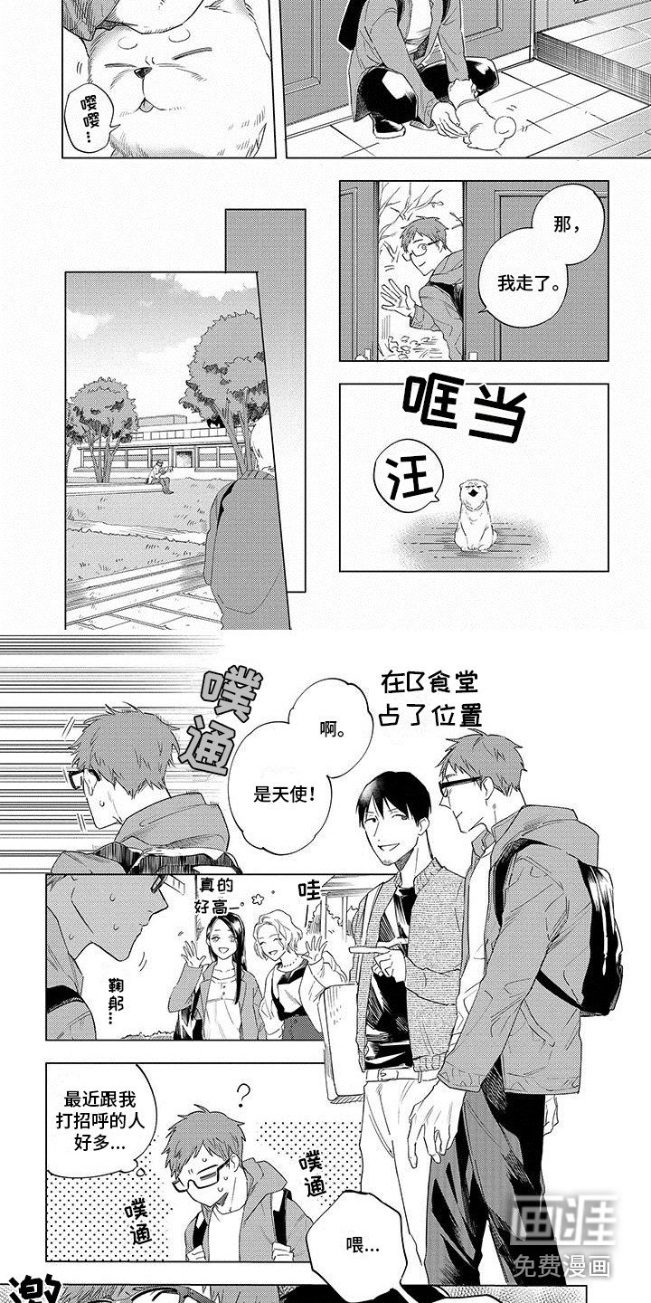 第17章：契约