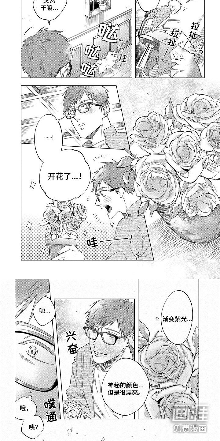 第19章：想起来了