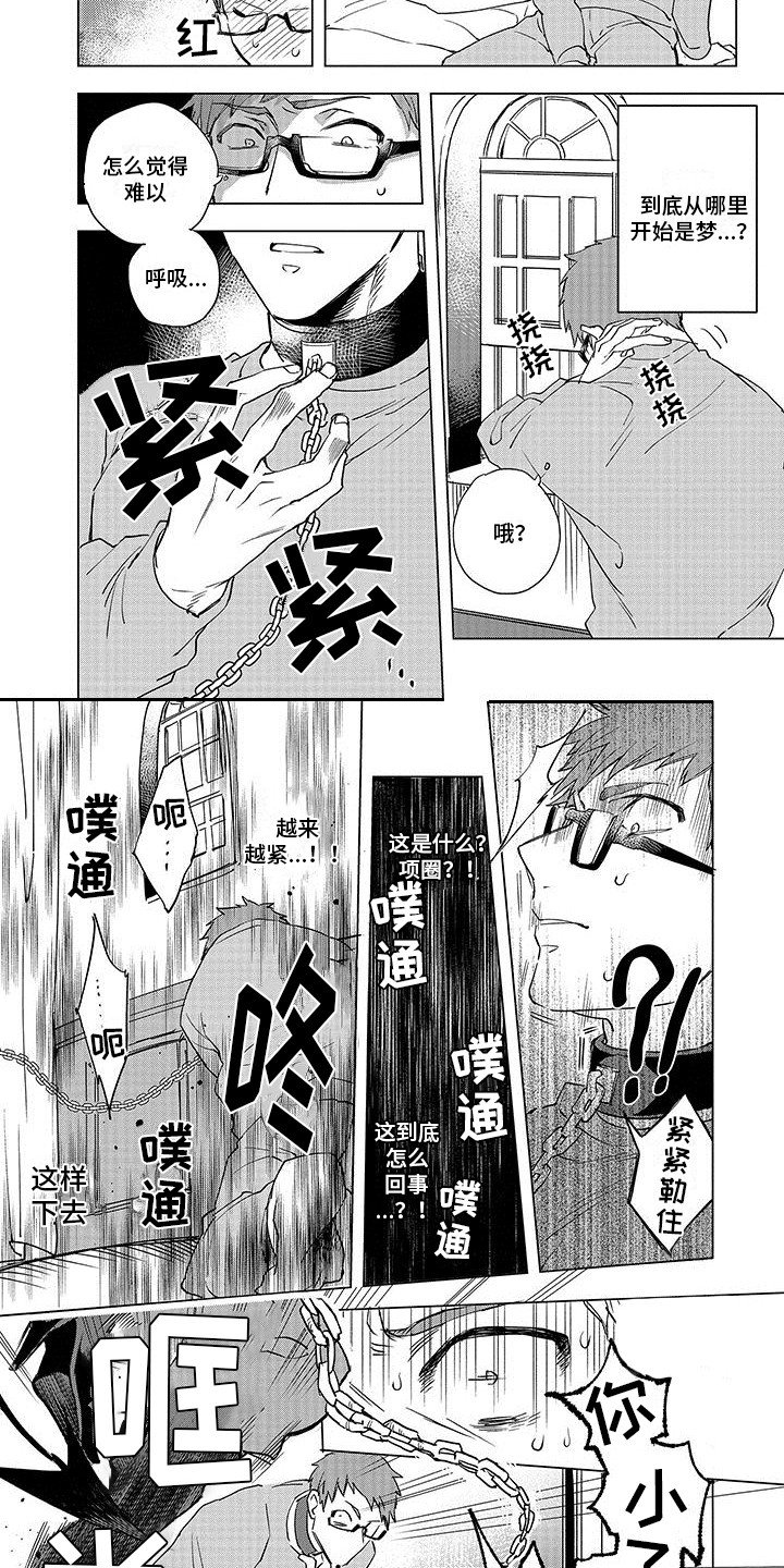 第3章：项圈