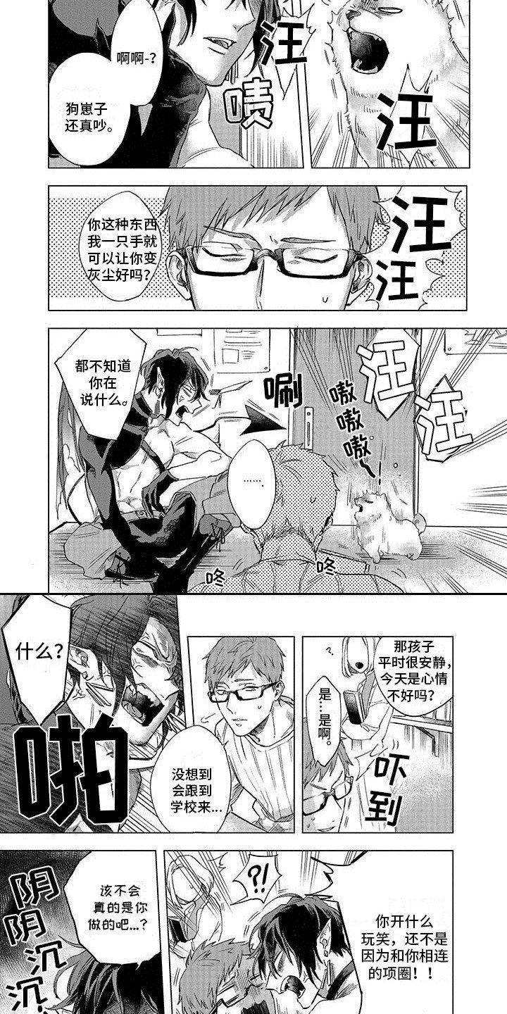 第3章：项圈